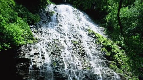 高效信息化